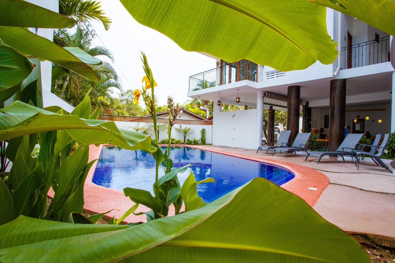 Hotelito Los Suenos Sayulita Buitenkant foto